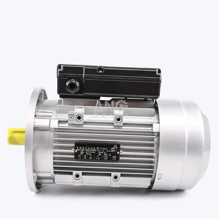 Asynchronous Induction Motors