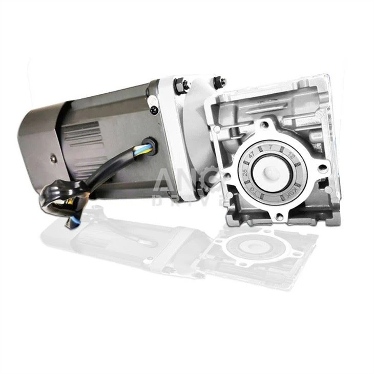 worm Angular Geared Motor