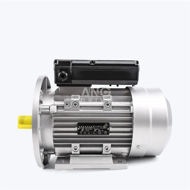 Motor electric transportor