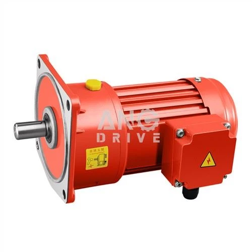 Motor de 0,2 kw