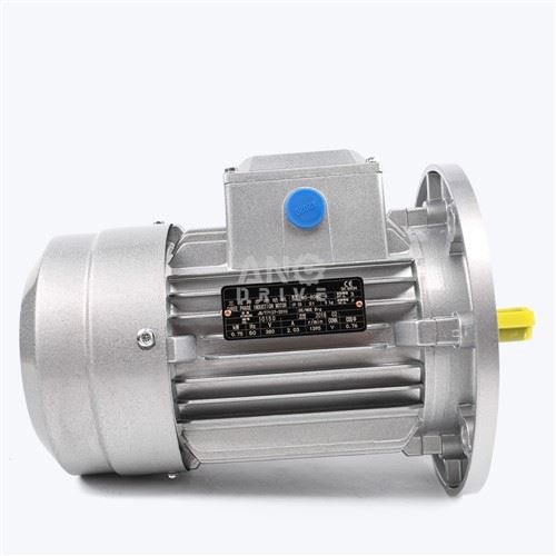 Motor 2HP