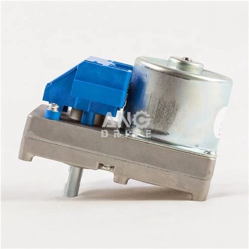 Motor reductor sincron