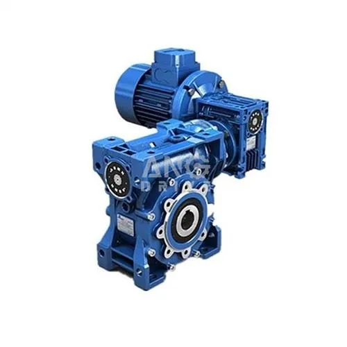 Worm Gear Motor Dublu Etapă