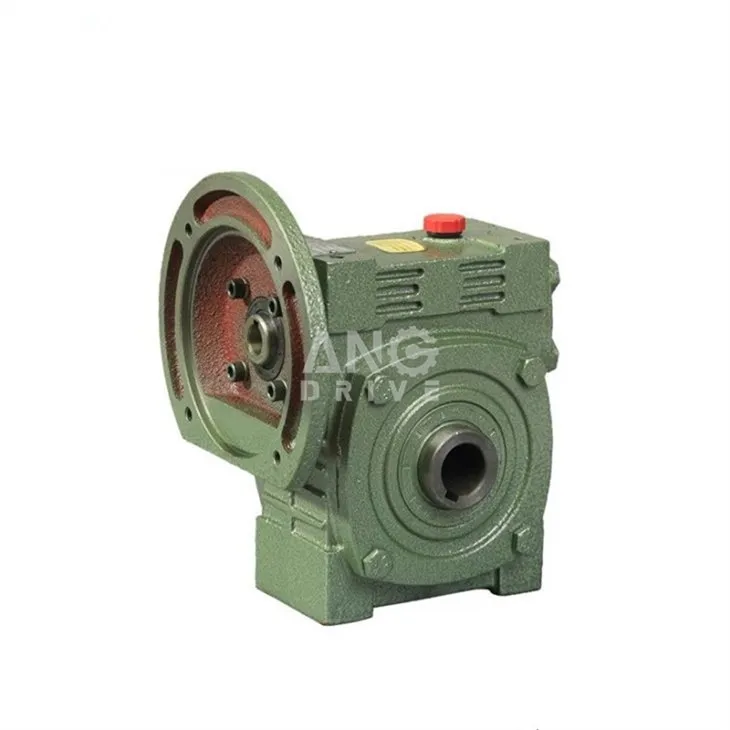 WPWDKS worm gearbox